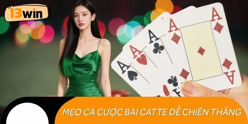 Lưu lại mẹo cá cược bài catte dễ dành nhiều chiến thắng